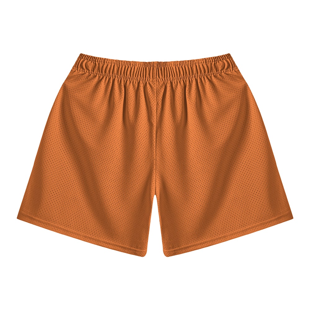Ace OP Emblem Mesh shorts