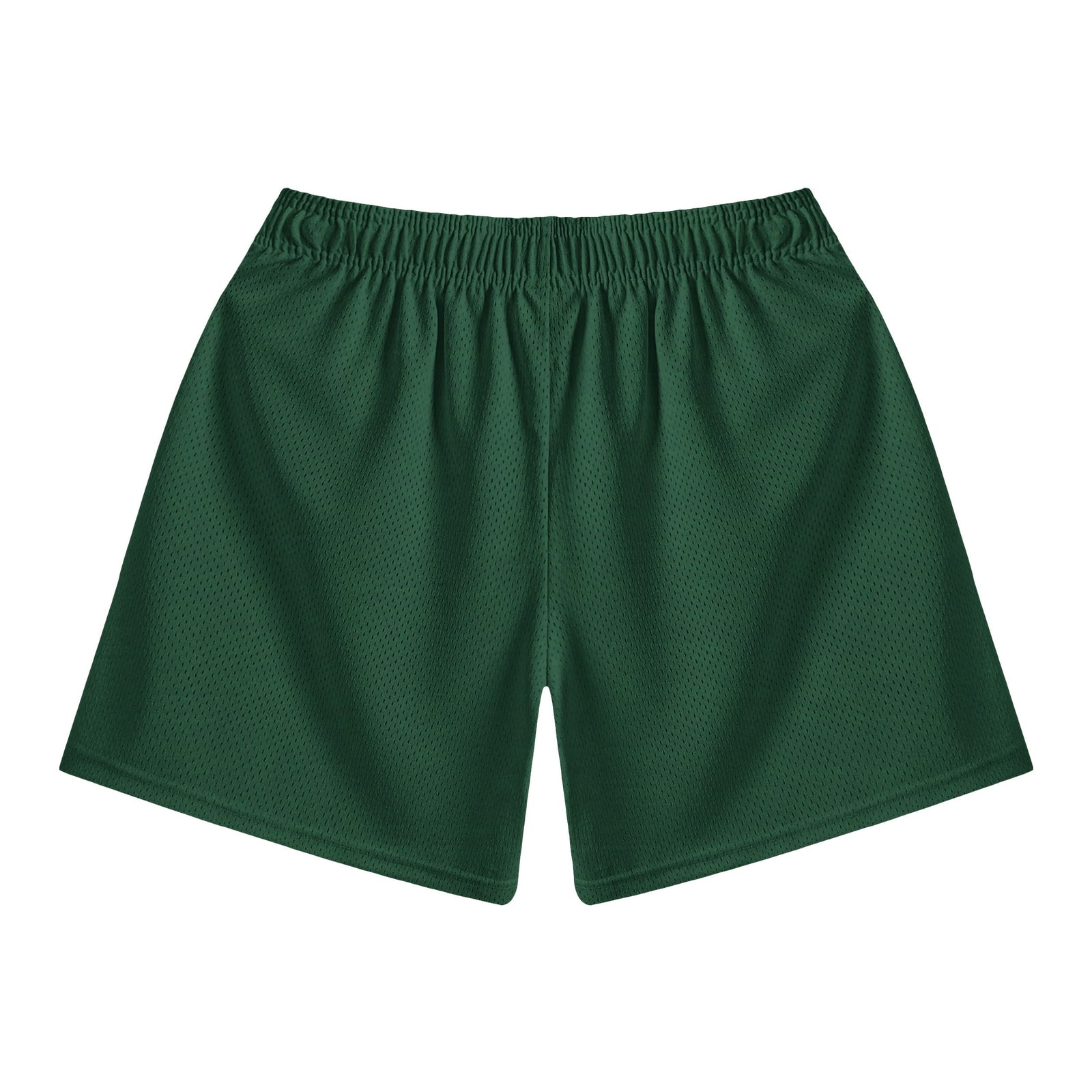 Titan Emblem Fusion Mesh shorts