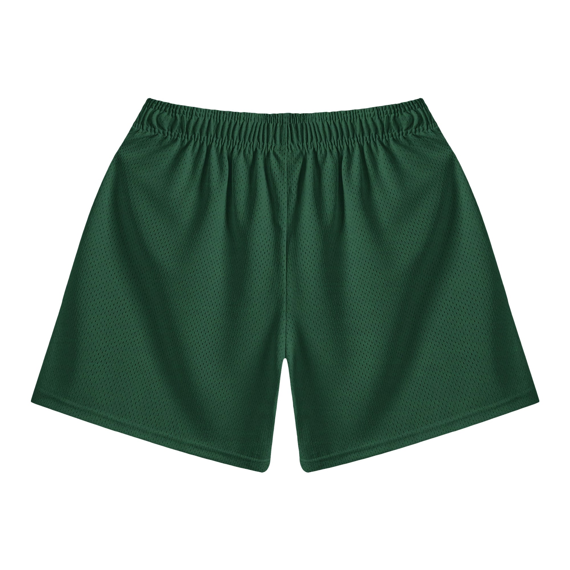 Titan Emblem Fusion Mesh shorts