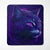 Colorinfused Cat Art Quilt Bedding